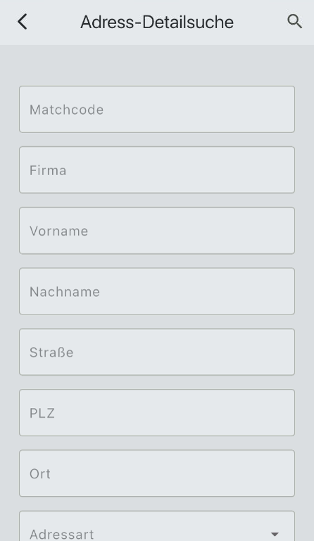 Adress-Detailsuche