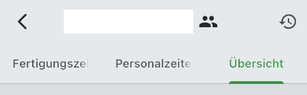 Kopfzeilen in Maske Zeiterfassung